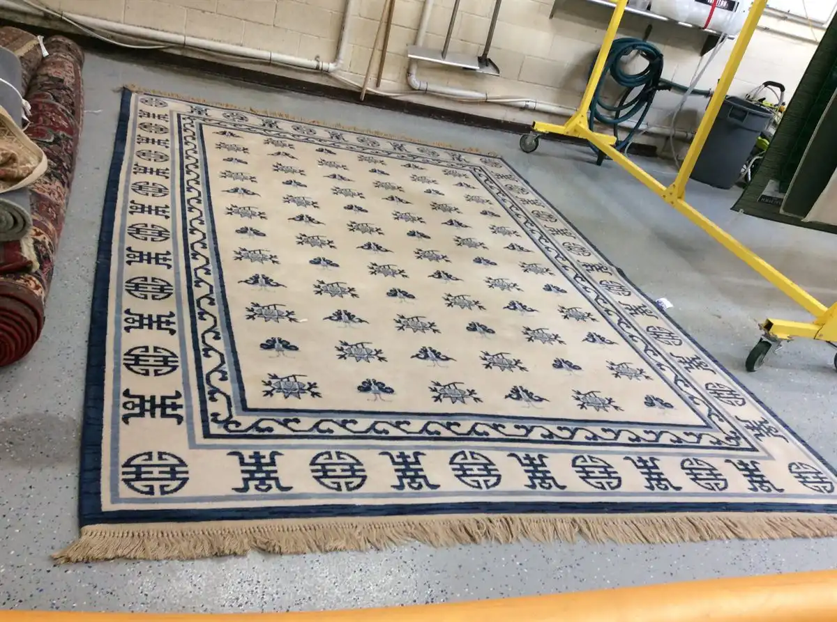 Area rug before professional cleaning